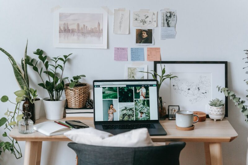 laptop with smartphone placed around potted plant on table